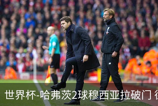 世界杯-哈弗茨2球穆西亚拉破门 德国全面开花7-1库拉索