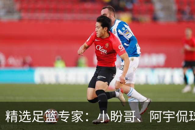 精选足篮专家：小盼哥、阿宇侃球、卢西奥7连红